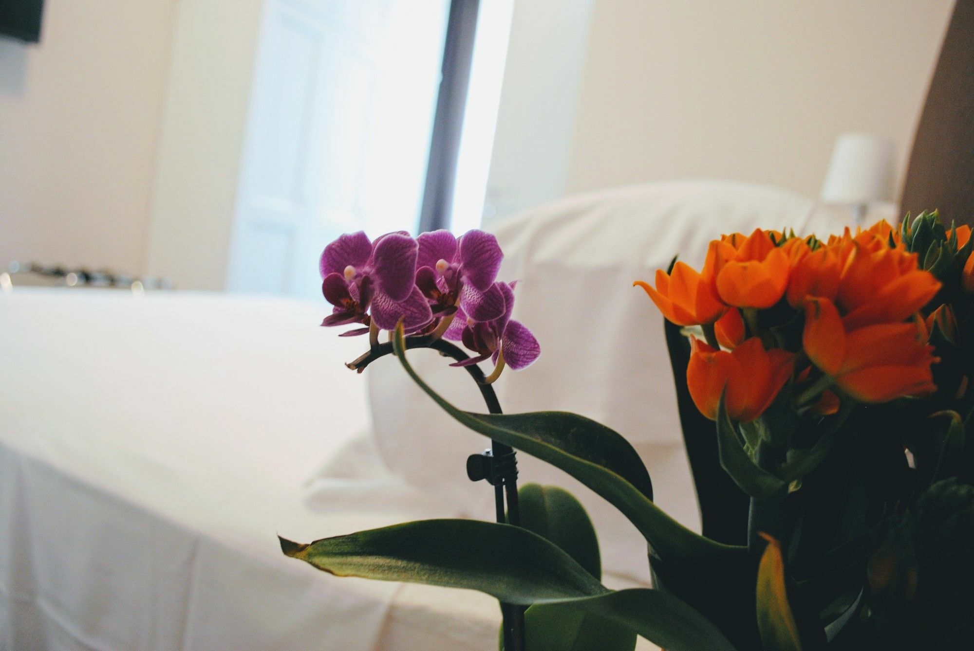 Guest House Cavour 278 Rome Extérieur photo
